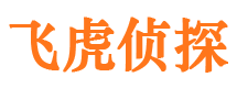 坊子市调查公司